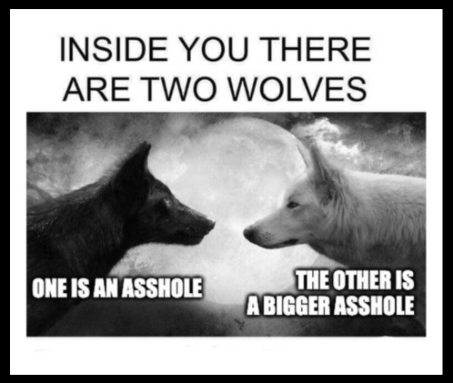 picture of black wolf and a white wolf. text above reads: inside you there are two wolves. Text below black wolf reads, "one is an asshole." Text below white wolf says, "the other is a bigger asshole."