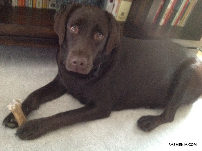 Expatriate, Not Ex-Patriot