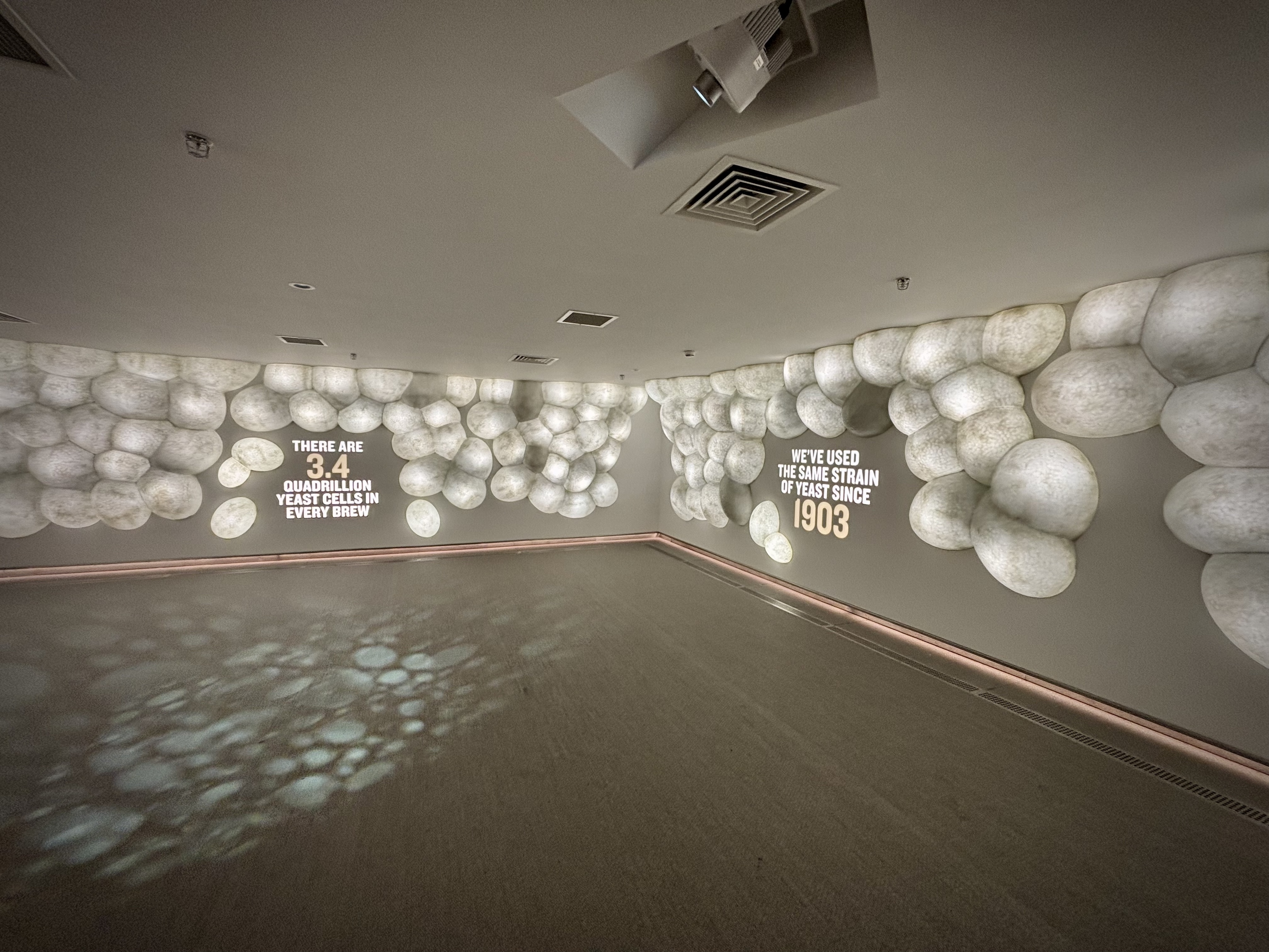 empty room with giant foam bubbles on the wall. large text painted on the wall reads: there are 3.4 quadrillion yeast cells in every brew. another block of text says: we've used the same strain since 1903
