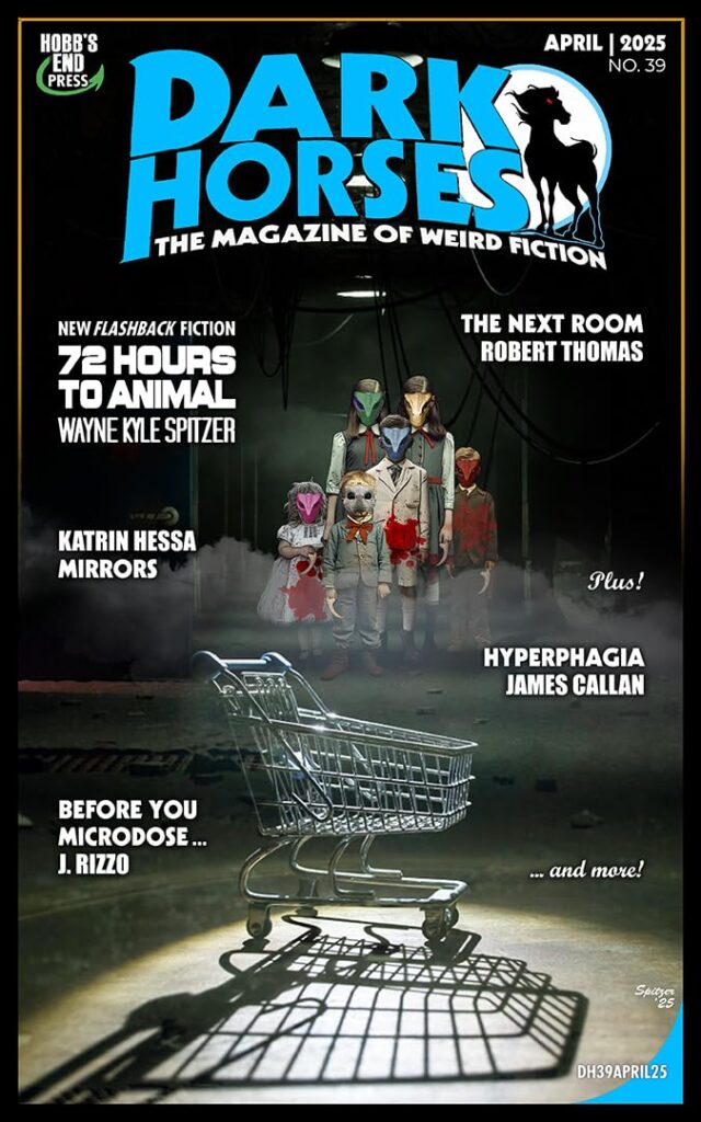 cover of dark horses magazine no. 39